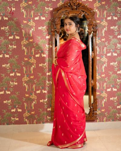 Banarasi Soft Georgette Silk Weaving Design Saree