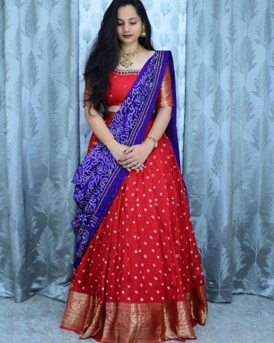 Bandini Saree with Patola Dupatta and Maggam Work
