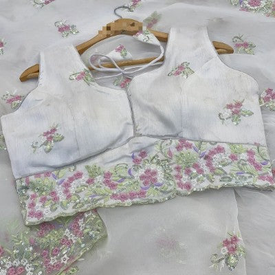 Sheer Elegance Organza Saree