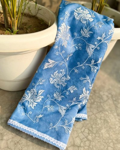 Banarasi Kora Organza Embroidery Jaal Saree with Lace Border