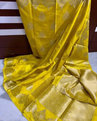 Bnarasi Dybl Dupion Soft Silk Saree