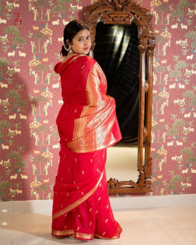 Banarasi Soft Georgette Silk Weaving Design Saree