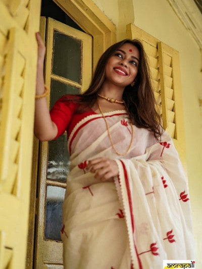 Premium Cotton Printed Saree